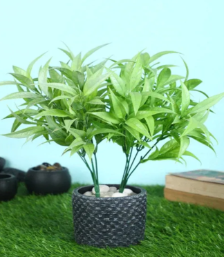 Simple Artificial Show Plant