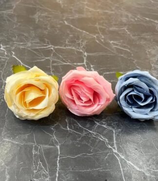 G 12 Rose