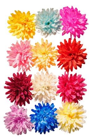 Dalia