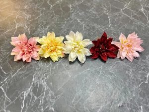 G 26 Rose
