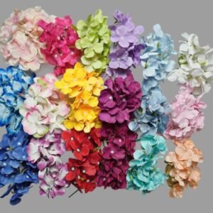 Hydrangea