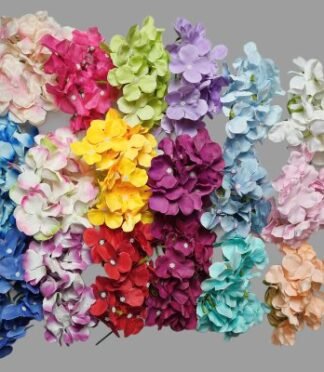 Hydrangea