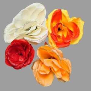 SM 27 Rose