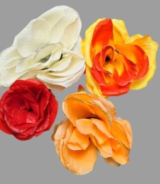 SM 27 Rose
