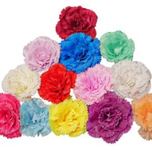 Special Carnation