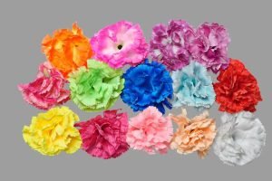 Carnation