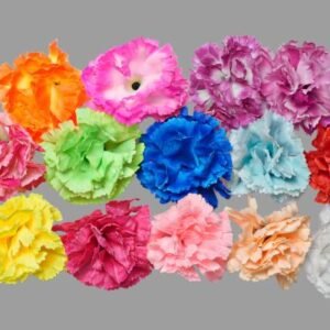 Carnation
