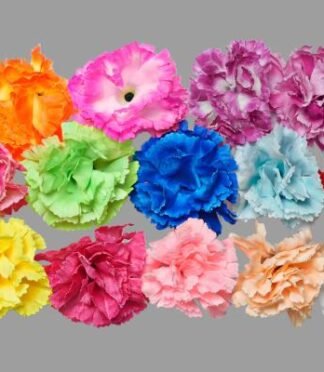 Carnation
