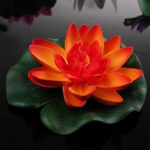 Lotus