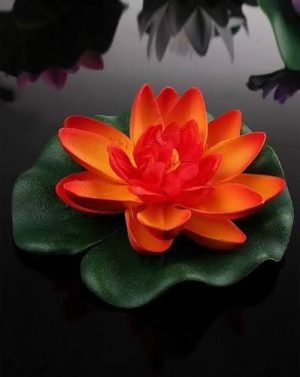 Lotus