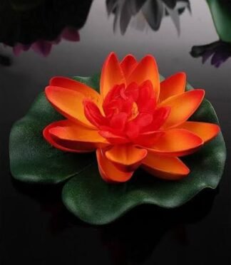 Lotus