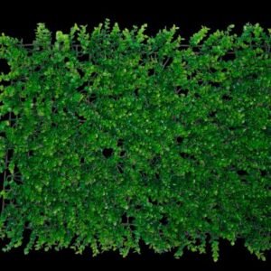 Fancy Green Mat