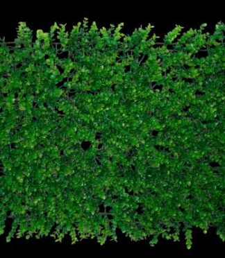 Fancy Green Mat