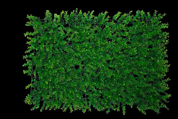 imgi_12_664ea48e1b5fd823d53dc2c8eeb3cfc5eaf3e1a3-3462x2308 imgi_12_664ea48e1b5fd823d53dc2c8eeb3cfc5eaf3e1a3-3462x2308