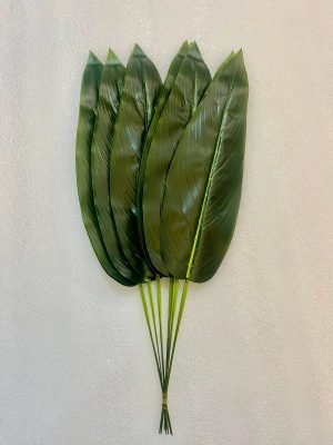 Victoria Patta Long
