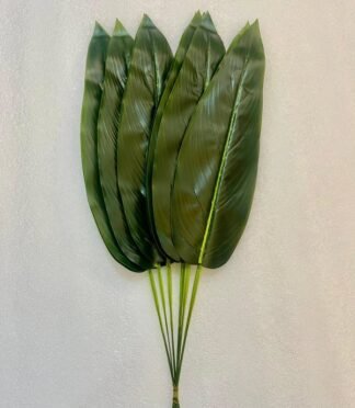 Victoria Patta Long