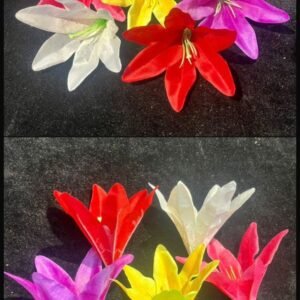 Lilly