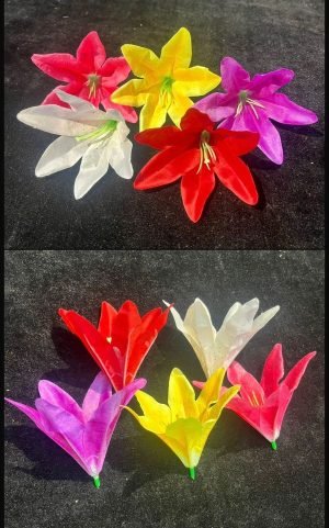 Lilly