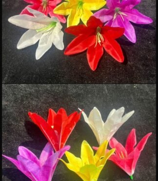 Lilly