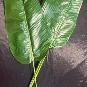 Banana Leaf