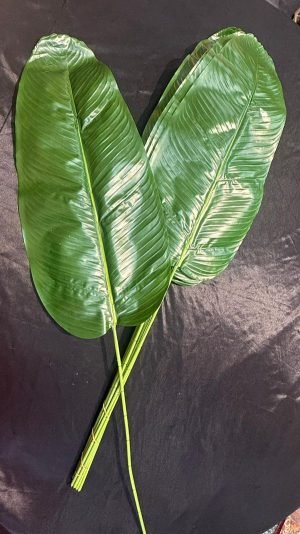Banana Leaf