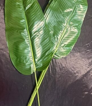 Banana Leaf