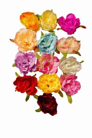 Small Peony