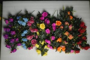 Rose hanging