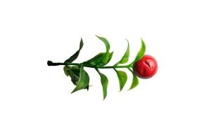 Cherry Filler