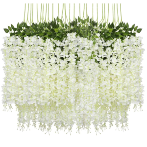 Wisteria Hanging