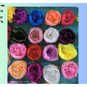 Big Peony (MTA-111)