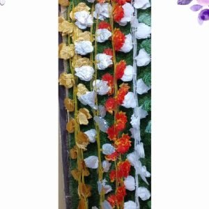 Color Money Plant Hanging Vine - 10 ft (MTA-305)