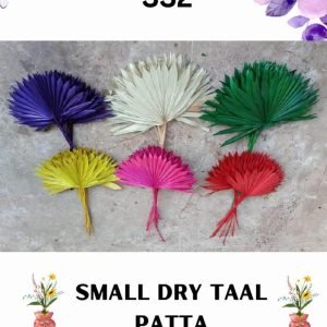 Small Dry Taal Patta - 52 cm (MTA-332)