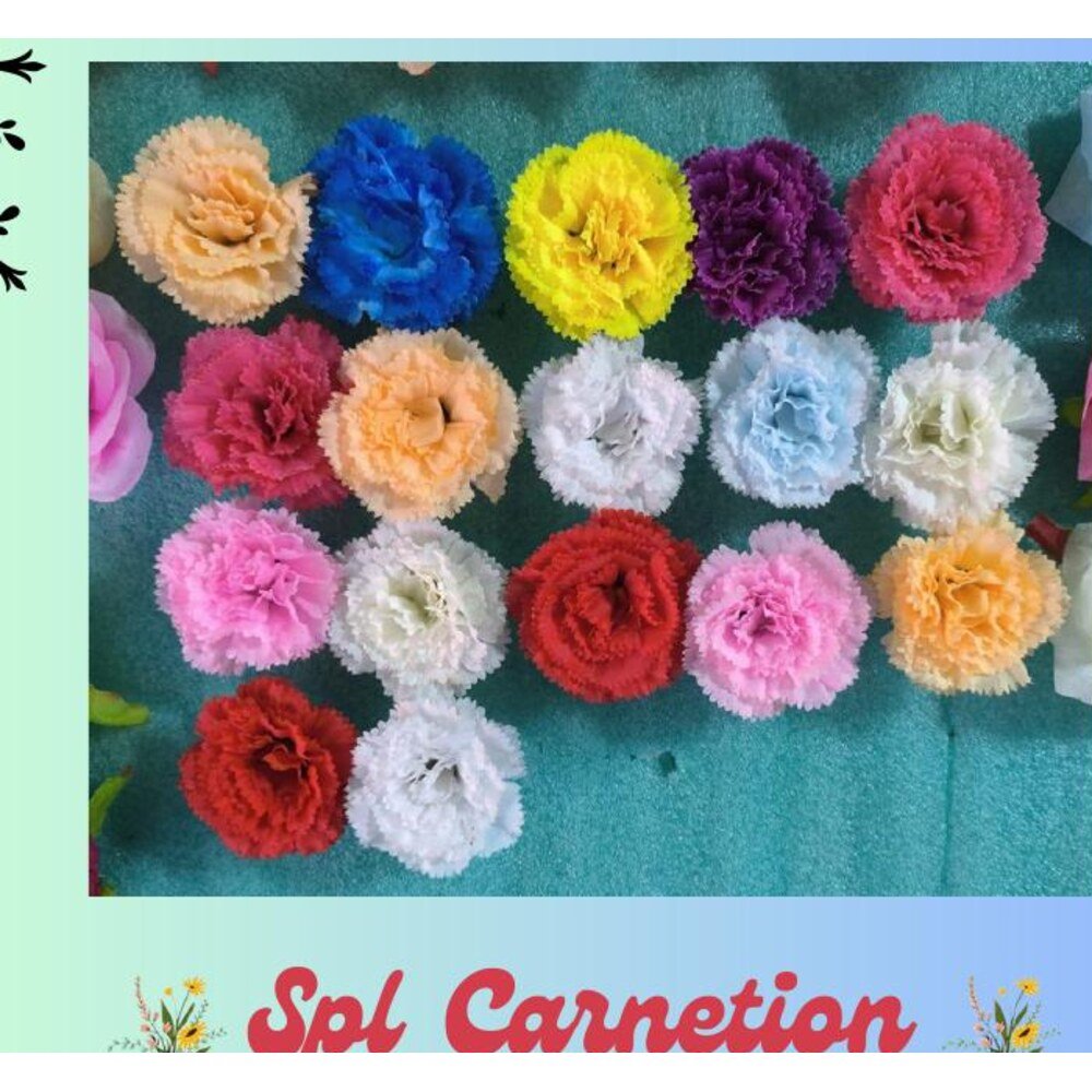 Special Carnation Flower (MTA-102)