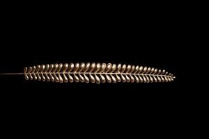 Small Golden Stick