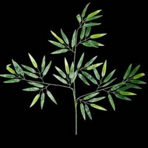Basta Leaf