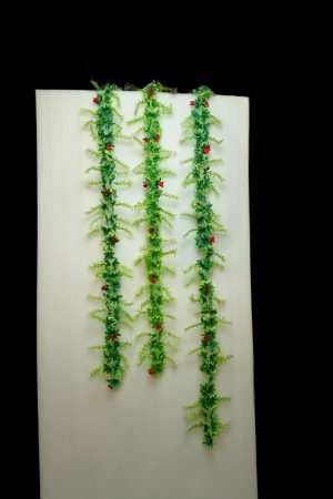 Green Gulab Latta