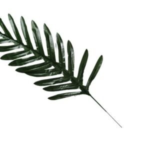 Small Palm Patta